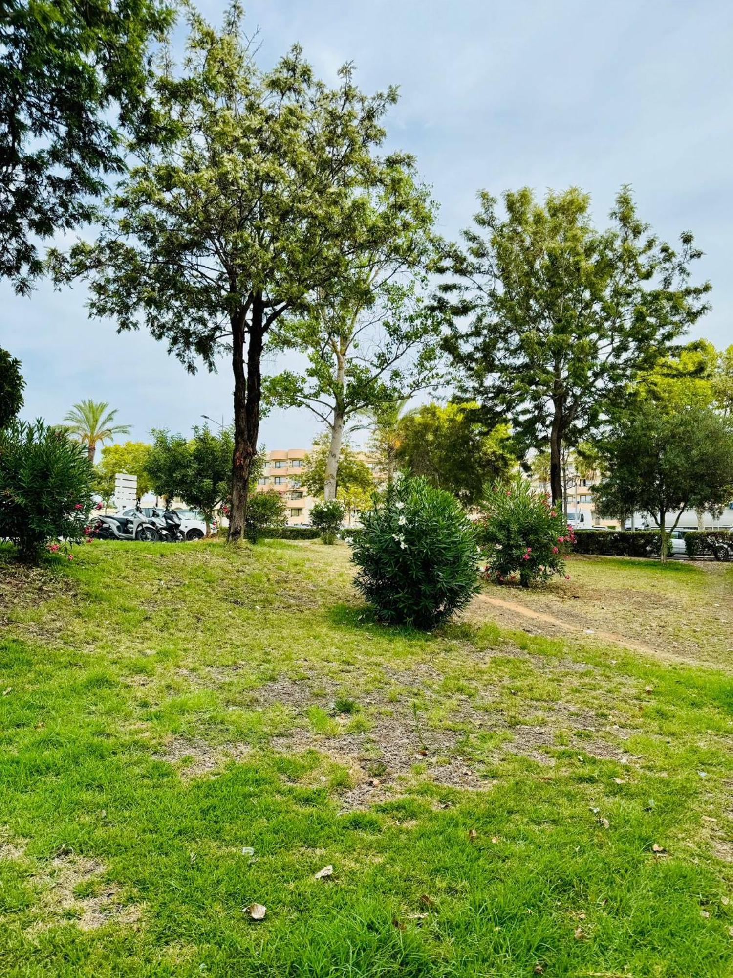 Apartamento T4 Albufeira Eksteriør billede